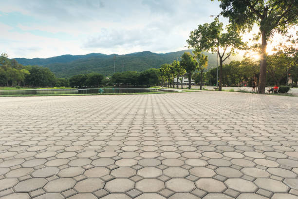 Best Driveway Paving Contractor  in Babson Park, FL